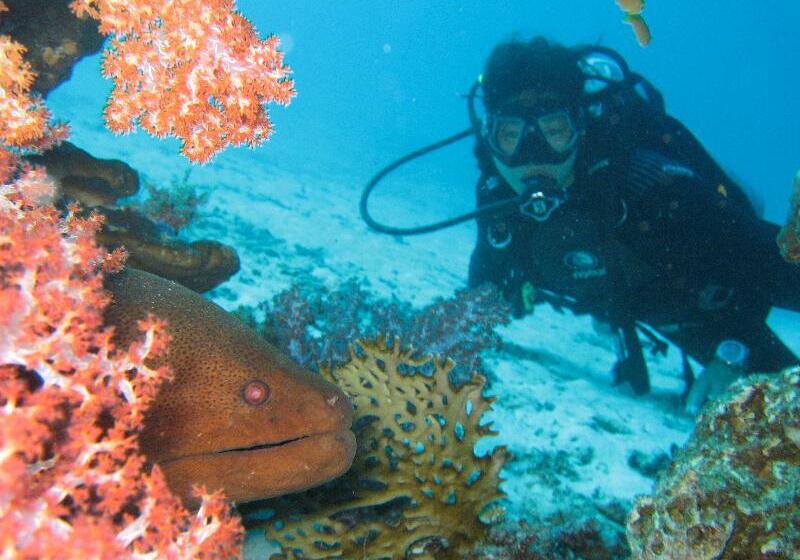 ホテル Kena Beach