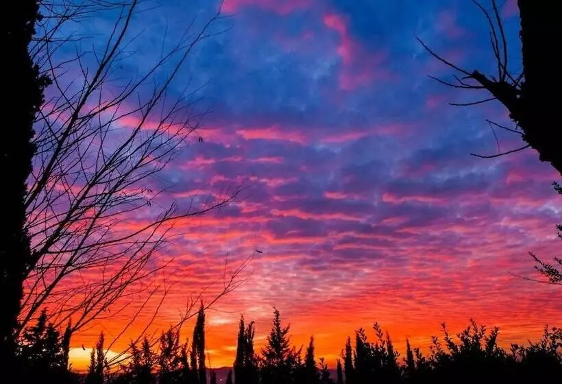 ベッドアンドブレックファースト Castello Di Montalbano