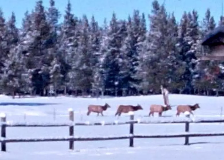 Hotel Diamondstone Guest Lodges