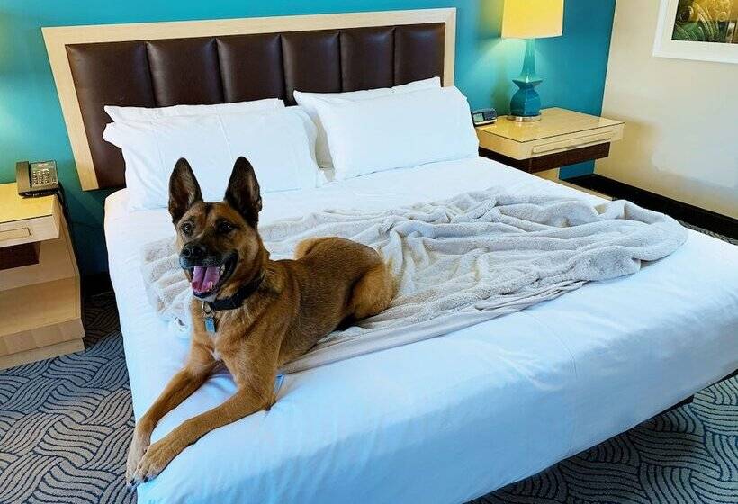 Downtown Grand Hotel & Casino