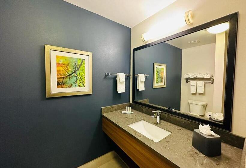 فندق Fairfield Inn & Suites By Marriott Waco North