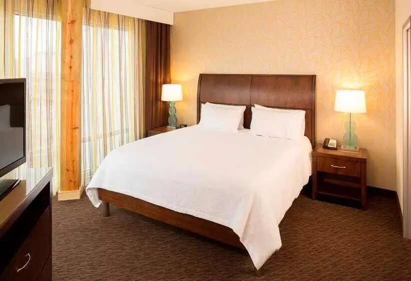 호텔 Hilton Garden Inn Sioux Falls Downtown