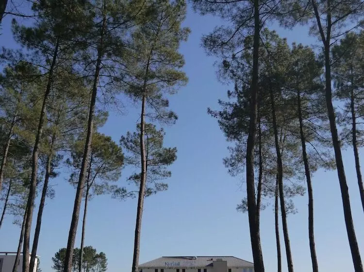 Отель Kyriad Direct Mont De Marsan   St Avit