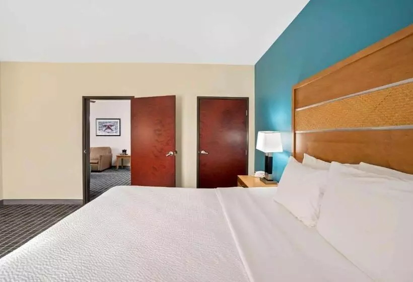 酒店 La Quinta By Wyndham Houston Willowbrook