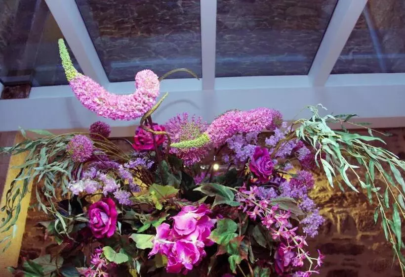 Отель Montenegro Compostela