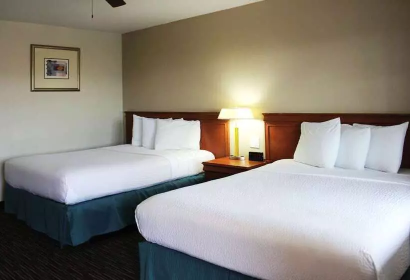 호텔 Rodeway Inn Near Universitygateway To Yosemite