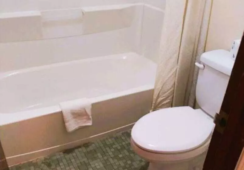 모텔 Holiday Lodge Virginia