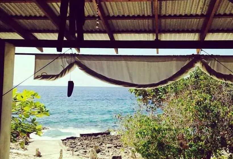 پانسیون Jackies On The Reef