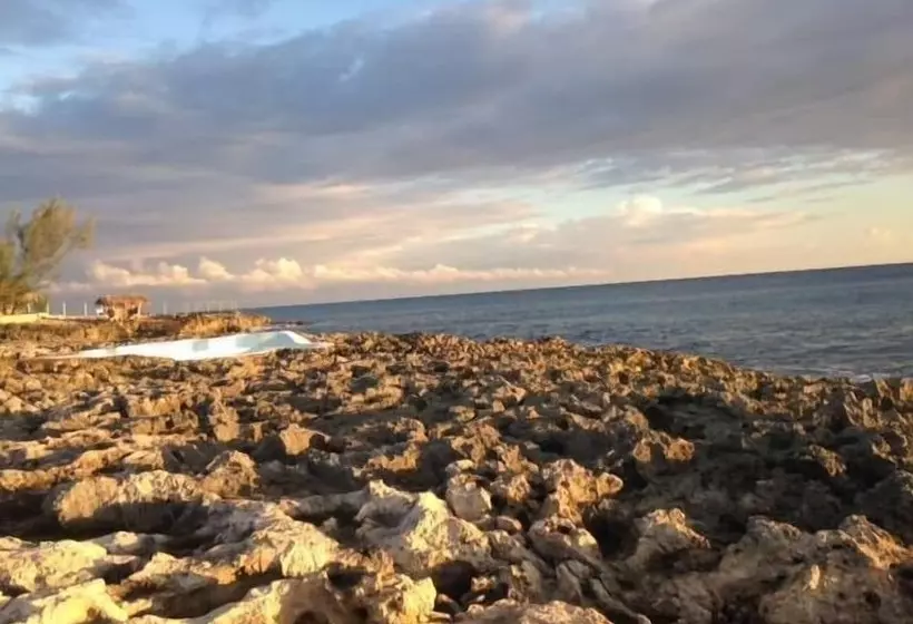 پانسیون Jackies On The Reef