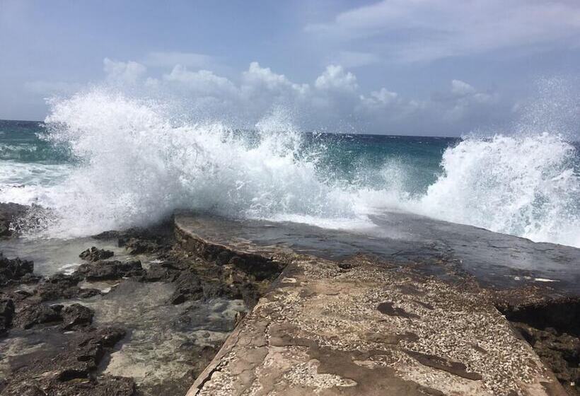 پانسیون Jackies On The Reef