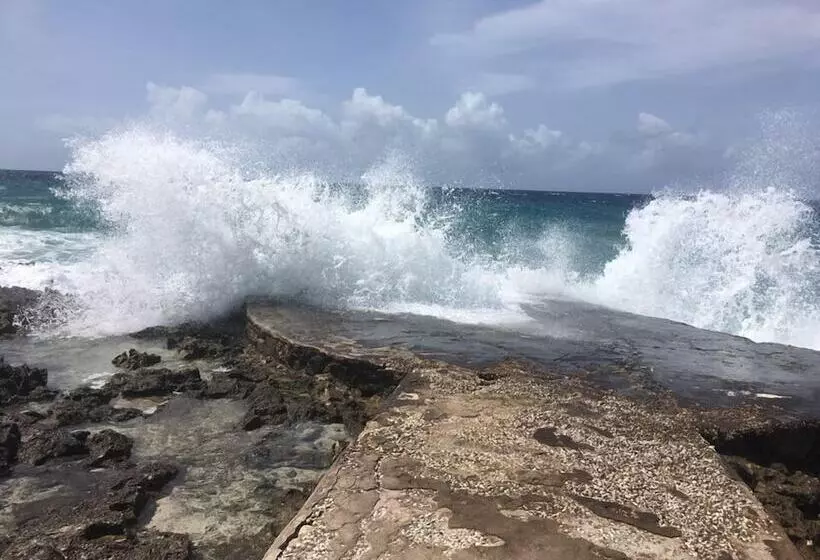 پانسیون Jackies On The Reef