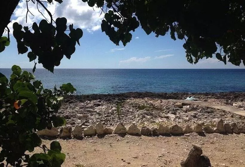 پانسیون Jackies On The Reef