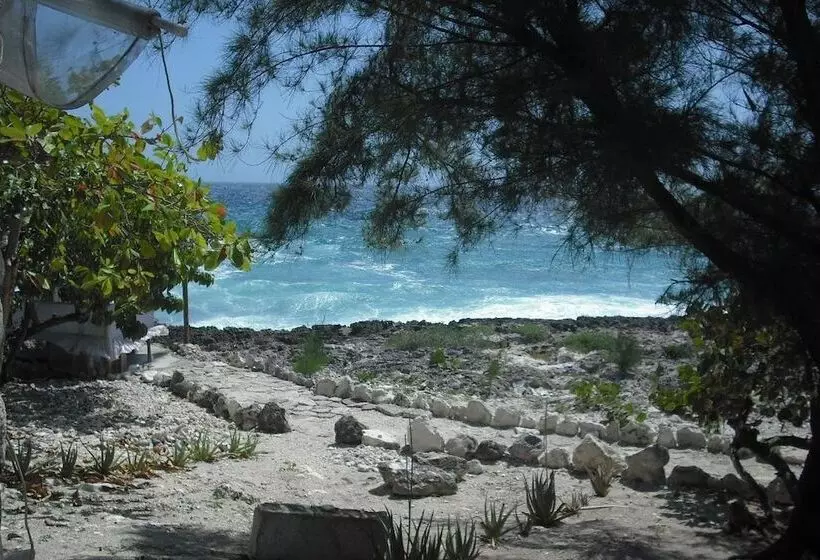 پانسیون Jackies On The Reef