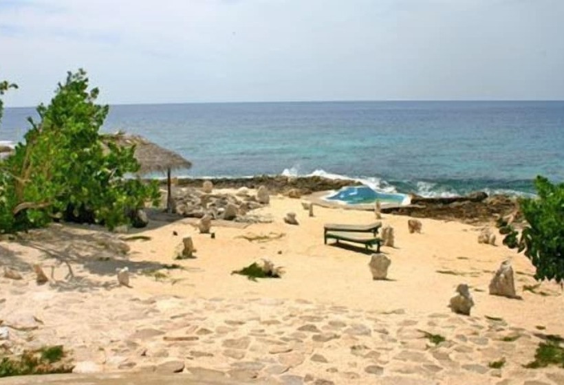 پانسیون Jackies On The Reef