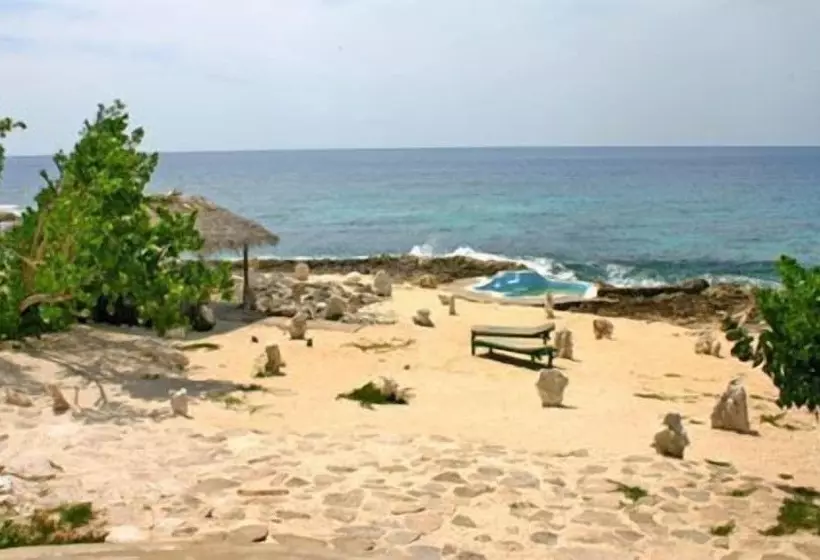 پانسیون Jackies On The Reef