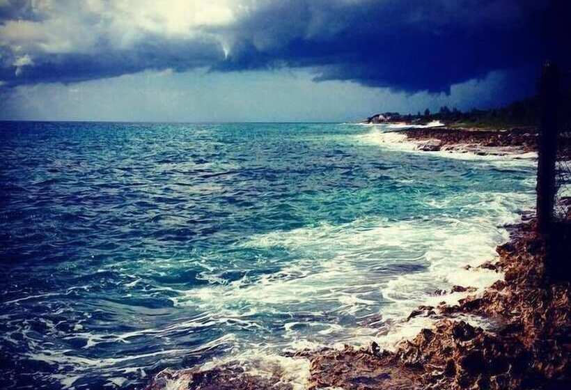 پانسیون Jackies On The Reef