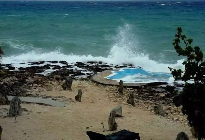 پانسیون Jackies On The Reef