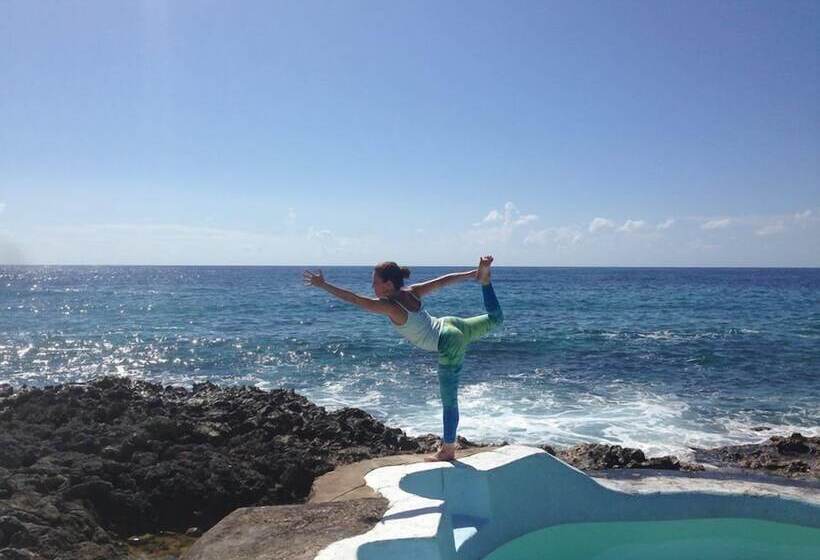 پانسیون Jackies On The Reef