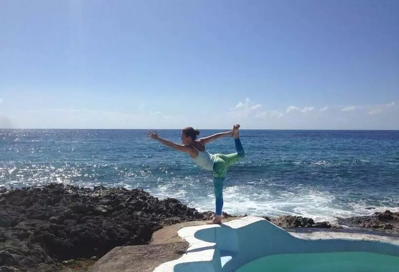 پانسیون Jackies On The Reef