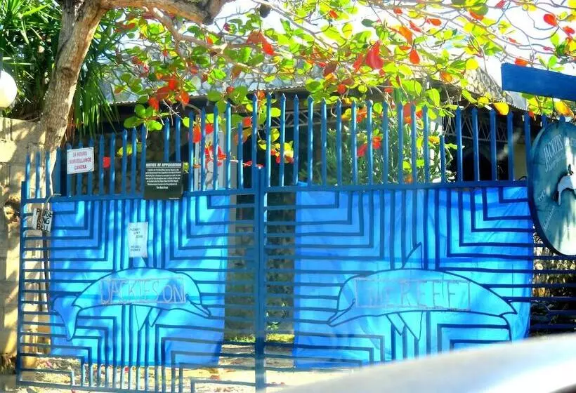 پانسیون Jackies On The Reef