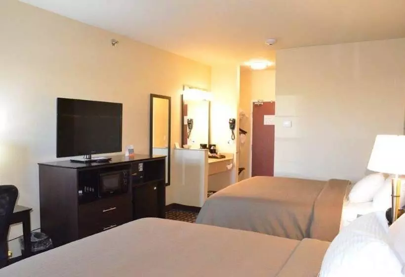 Spark By Hilton Minot