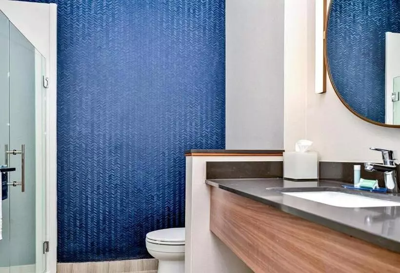 Hotelli Fairfield By Marriott Inn & Suites Corinth South Denton Area