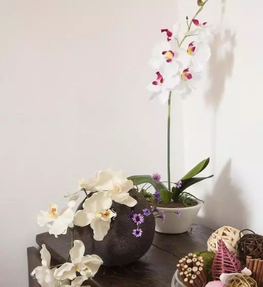 ベッドアンドブレックファースト Locanda Dei Guelfi