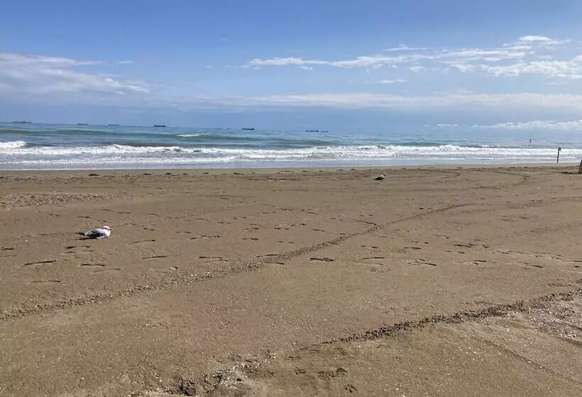 Bed and Breakfast Oasis Lagoon Estate