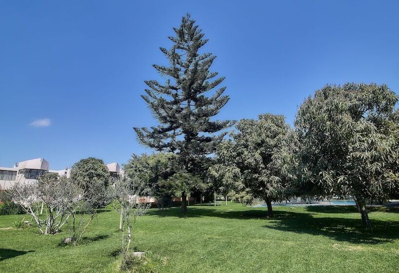 فندق Del Valle Azapa