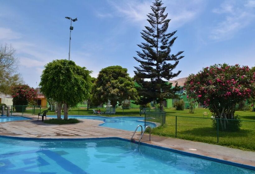 فندق Del Valle Azapa