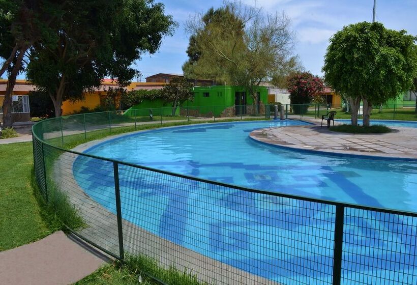 فندق Del Valle Azapa