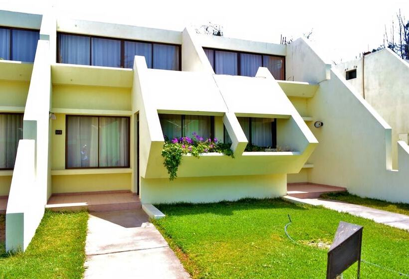 فندق Del Valle Azapa