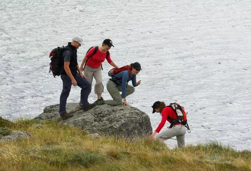 Отель Diana Alpine Lodge