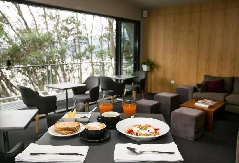 Отель Diana Alpine Lodge