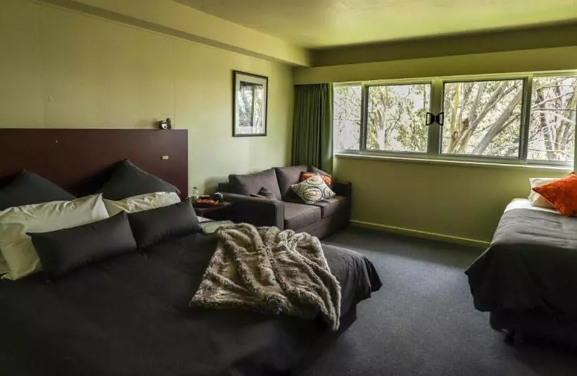 Отель Diana Alpine Lodge