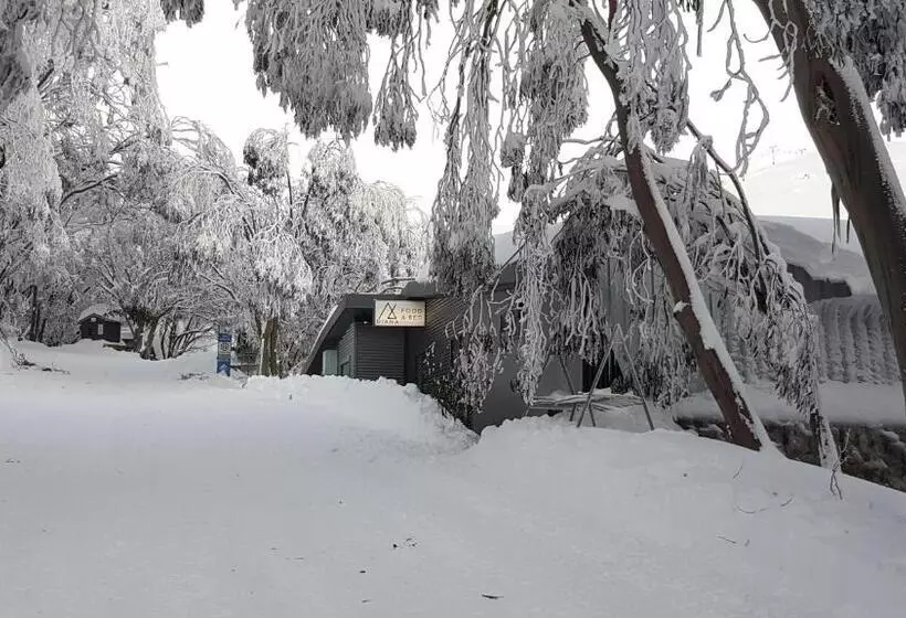 Отель Diana Alpine Lodge