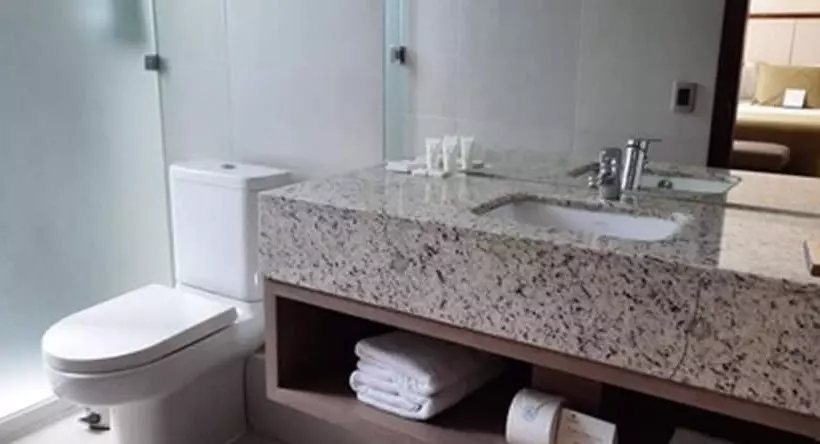 فندق Abba Presidente Suites Santiago