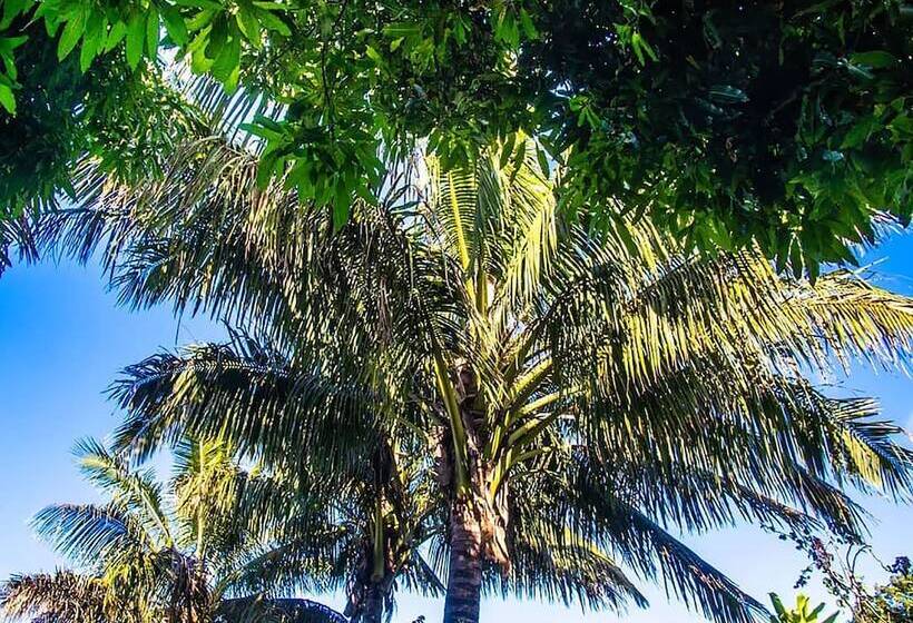 Apart Hotel Rapa Nui