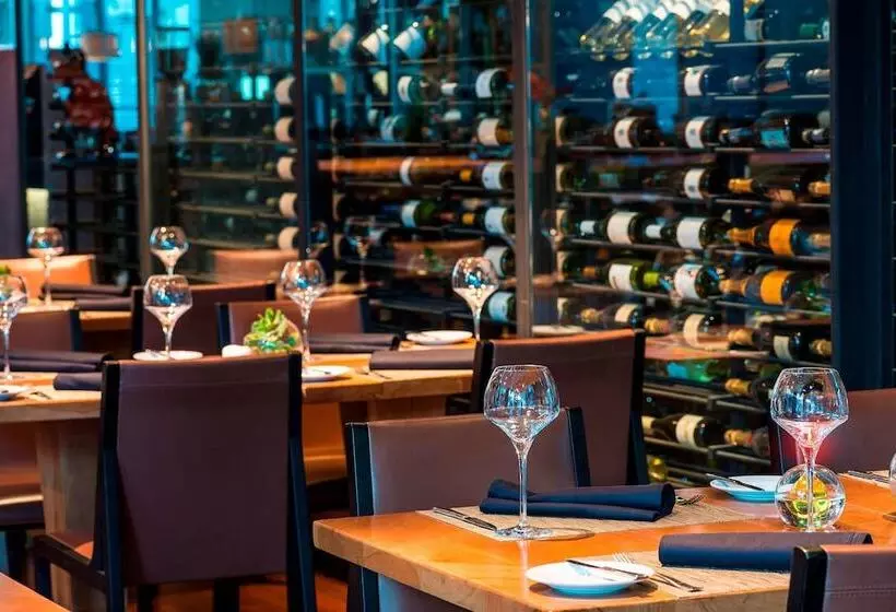 فندق Renaissance Santiago By Marriott