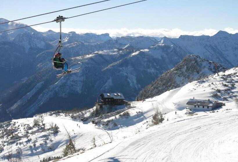 Das Traunsee Das Hotel Zum See