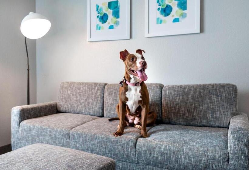 Towneplace Suites Buffalo Airport