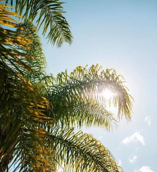 La Quinta Hostel & Suites