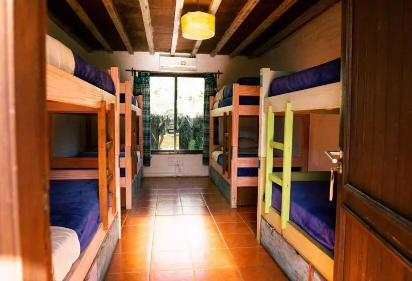 La Quinta Hostel & Suites