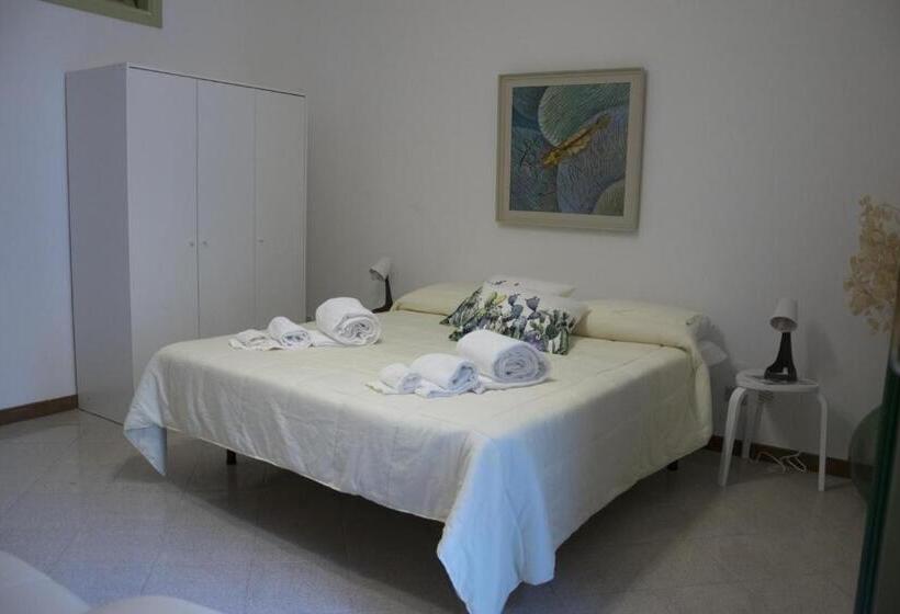 פנסיון Ficodindia Rooms