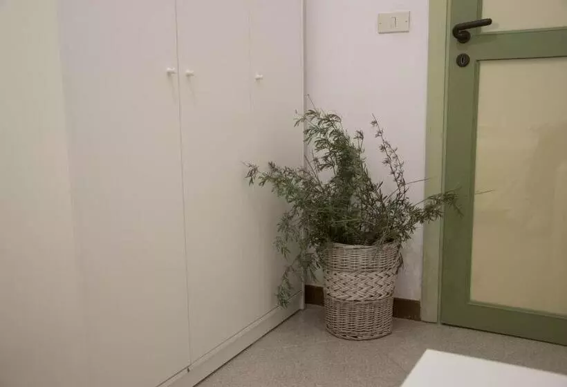 Majatalo Ficodindia Rooms