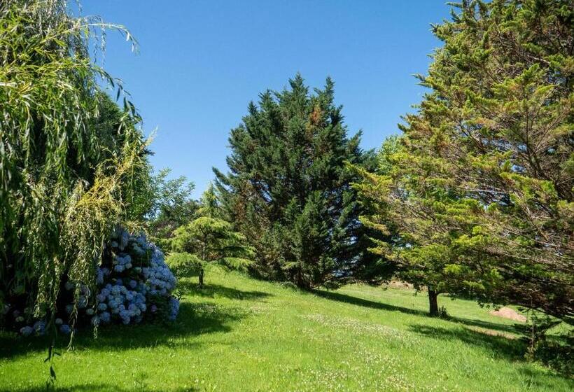 پانسیون Villa Enara