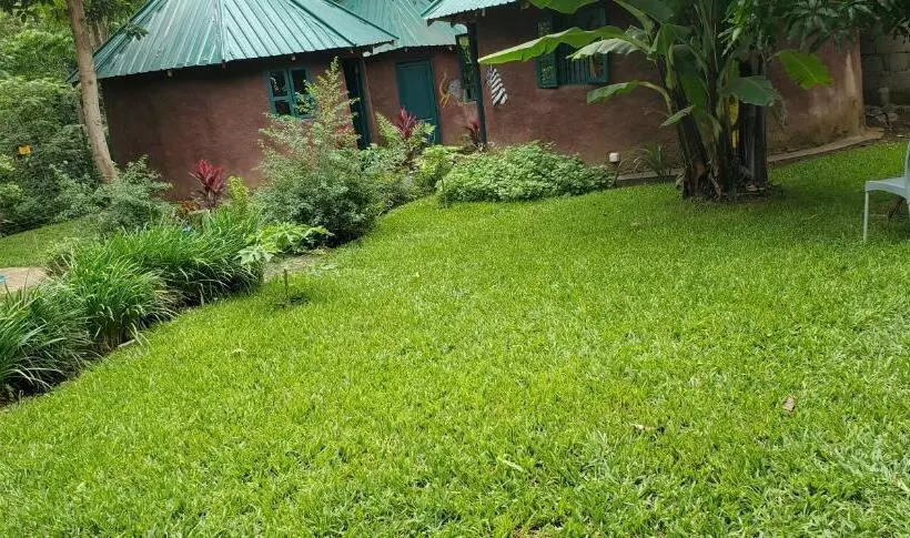 هاستل Kizumba House