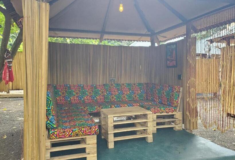 Общежитие Kizumba House