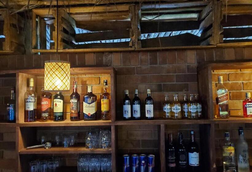 Общежитие Kizumba House