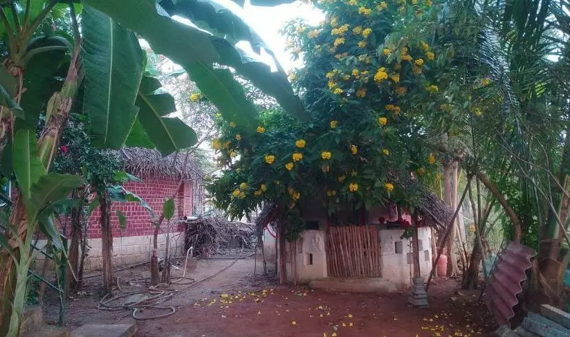 ペンション Thiru Nakshatra Family Guest House